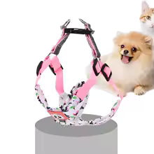 Harnais et laisse de chien