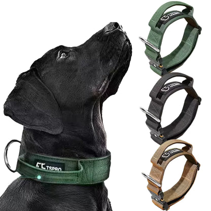 COLLIER POUR CHIEN