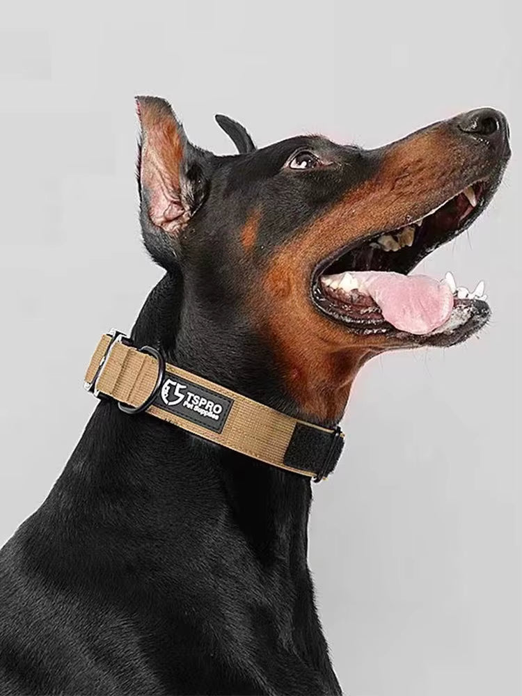 COLLIER POUR CHIEN