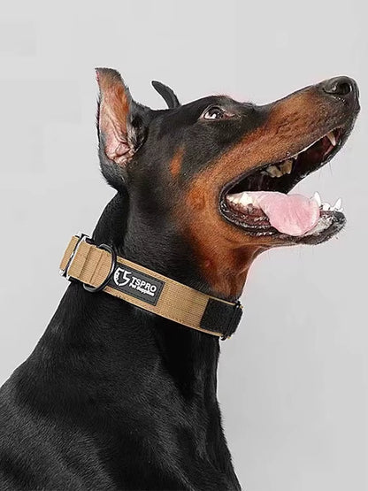 COLLIER POUR CHIEN