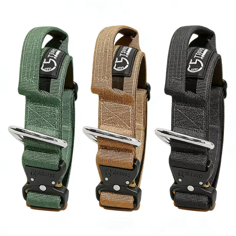 COLLIER POUR CHIEN