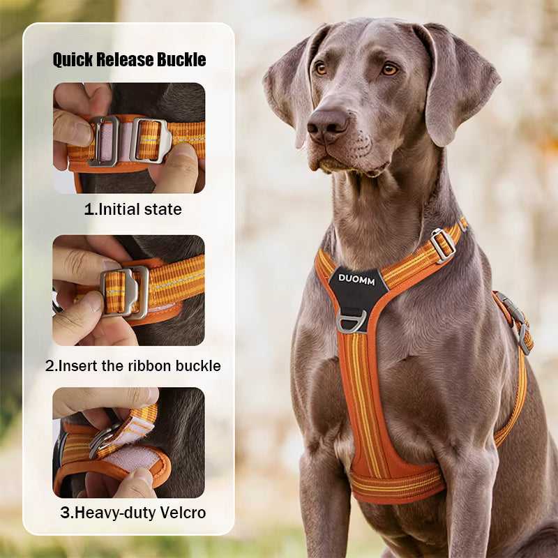 HARNAIS POUR CHIEN