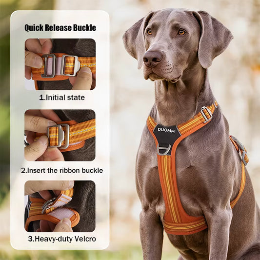 HARNAIS POUR CHIEN