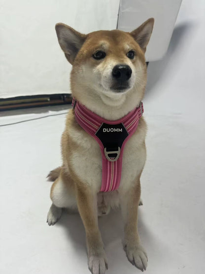 HARNAIS POUR CHIEN